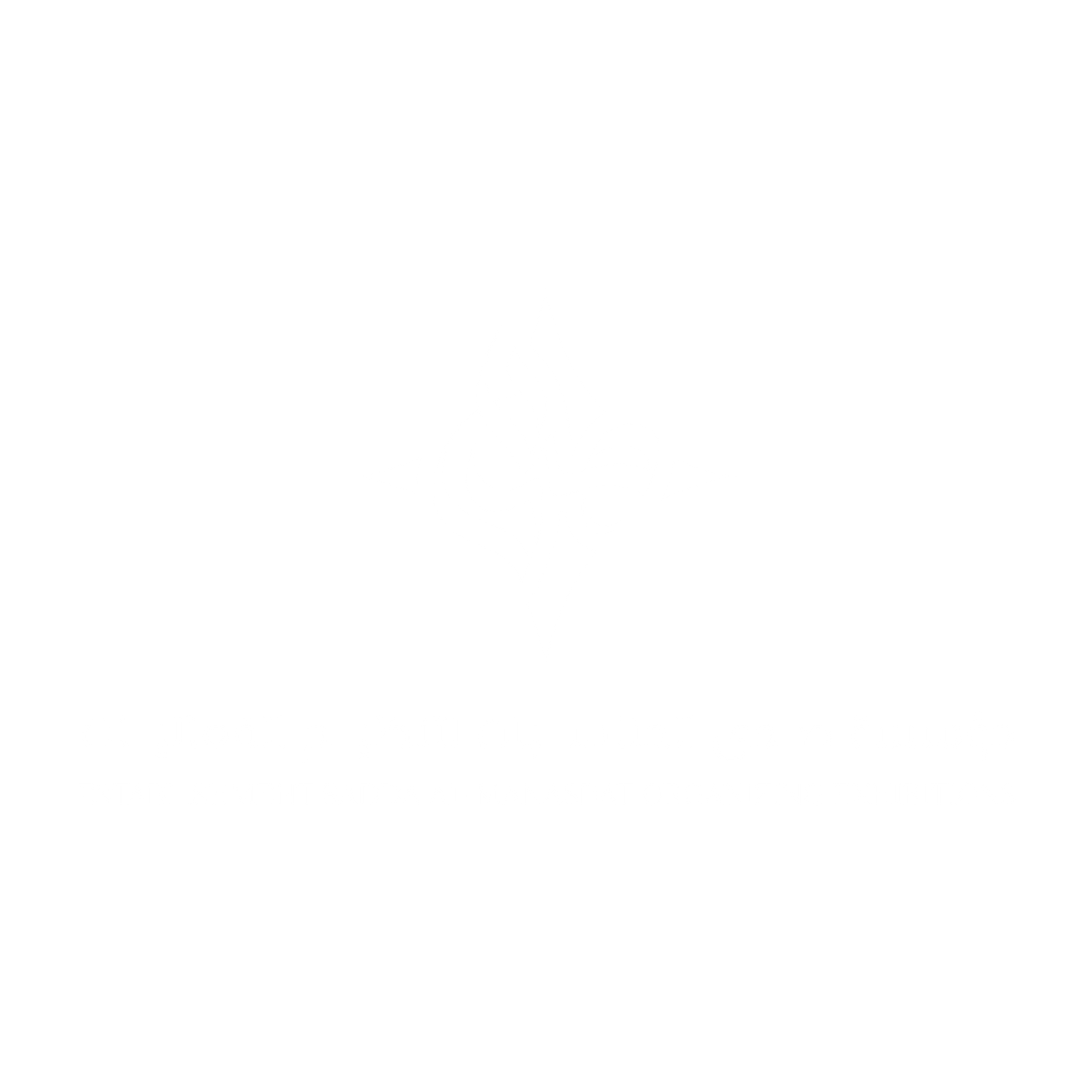 website logo